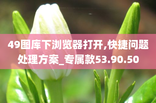 49图库下浏览器打开,快捷问题处理方案_专属款53.90.50