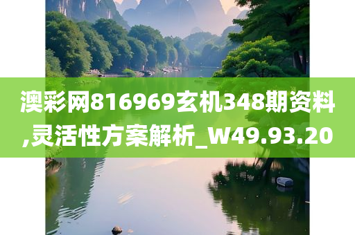 澳彩网816969玄机348期资料,灵活性方案解析_W49.93.20