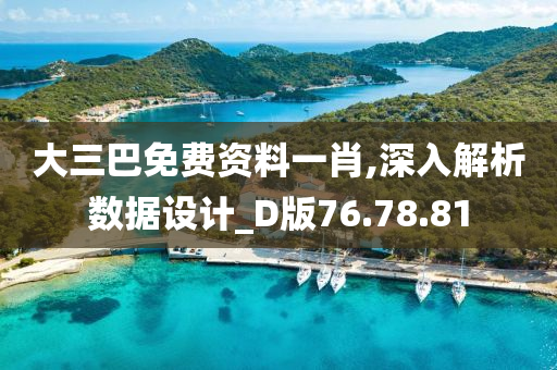 大三巴免费资料一肖,深入解析数据设计_D版76.78.81