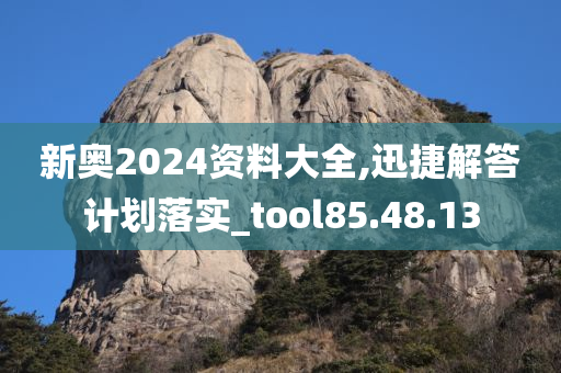 新奥2024资料大全,迅捷解答计划落实_tool85.48.13