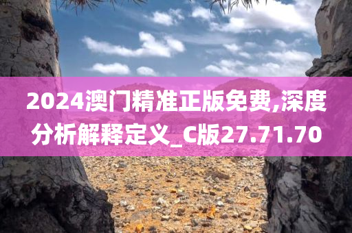 2024澳门精准正版免费,深度分析解释定义_C版27.71.70