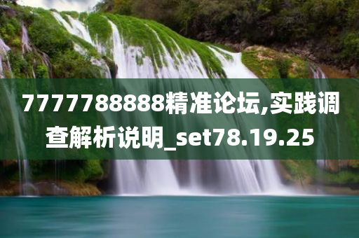 7777788888精准论坛,实践调查解析说明_set78.19.25