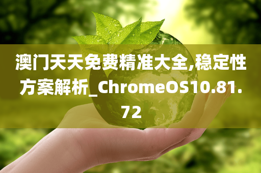 澳门天天免费精准大全,稳定性方案解析_ChromeOS10.81.72