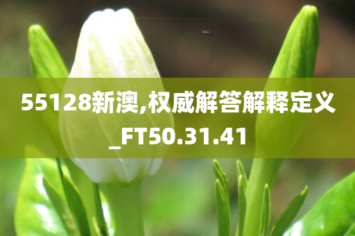 55128新澳,权威解答解释定义_FT50.31.41