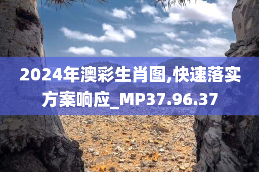 2024年澳彩生肖图,快速落实方案响应_MP37.96.37