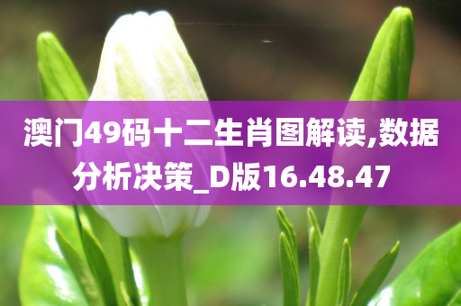 澳门49码十二生肖图解读,数据分析决策_D版16.48.47