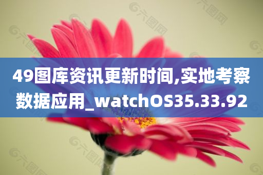 49图库资讯更新时间,实地考察数据应用_watchOS35.33.92