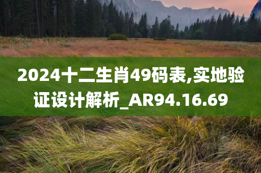 2024十二生肖49码表,实地验证设计解析_AR94.16.69