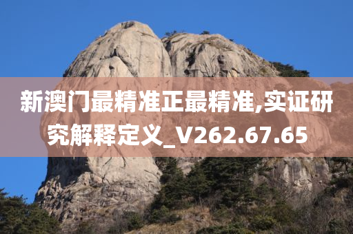 新澳门最精准正最精准,实证研究解释定义_V262.67.65