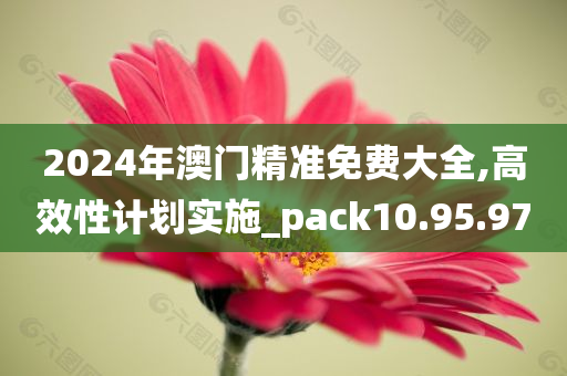 2024年澳门精准免费大全,高效性计划实施_pack10.95.97