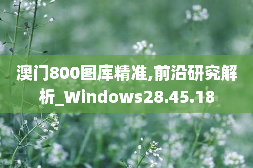 澳门800图库精准,前沿研究解析_Windows28.45.18