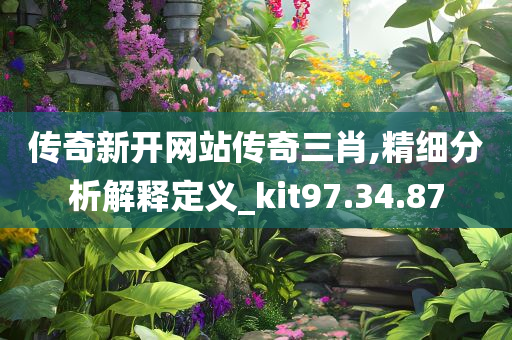 传奇新开网站传奇三肖,精细分析解释定义_kit97.34.87