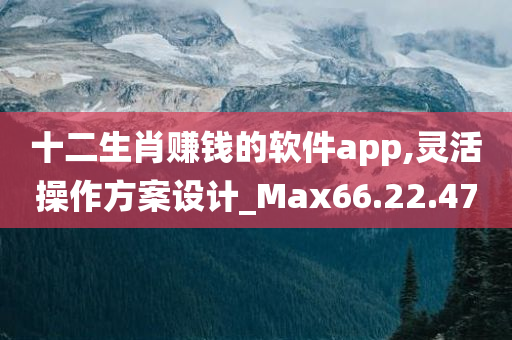 十二生肖赚钱的软件app,灵活操作方案设计_Max66.22.47