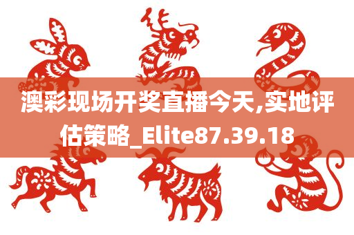 澳彩现场开奖直播今天,实地评估策略_Elite87.39.18