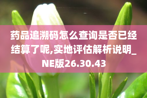 药品追溯码怎么查询是否已经结算了呢,实地评估解析说明_NE版26.30.43