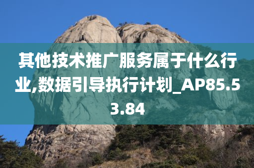 其他技术推广服务属于什么行业,数据引导执行计划_AP85.53.84