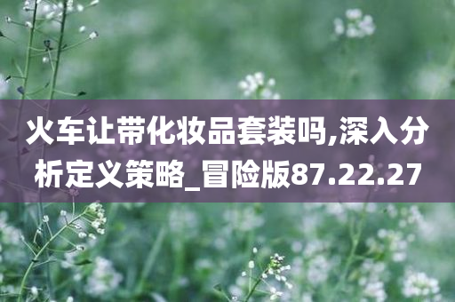 火车让带化妆品套装吗,深入分析定义策略_冒险版87.22.27