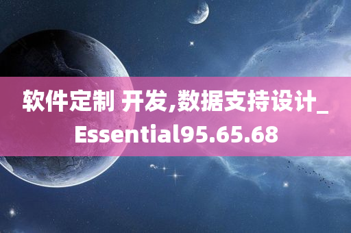 软件定制 开发,数据支持设计_Essential95.65.68