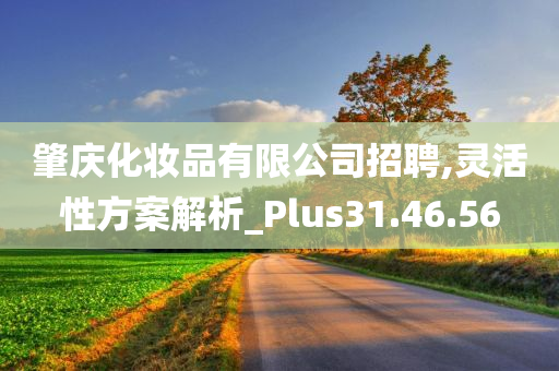 肇庆化妆品有限公司招聘,灵活性方案解析_Plus31.46.56