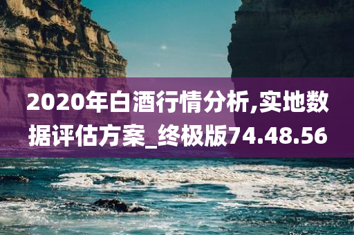 2020年白酒行情分析,实地数据评估方案_终极版74.48.56