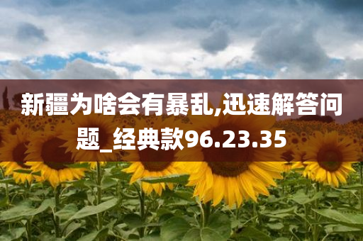 新疆为啥会有暴乱,迅速解答问题_经典款96.23.35