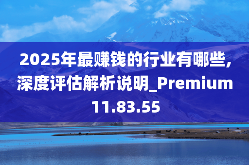 2025年最赚钱的行业有哪些,深度评估解析说明_Premium11.83.55