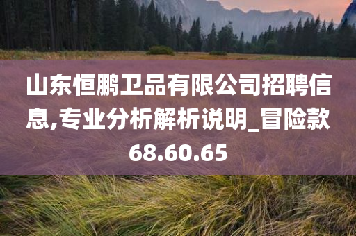 山东恒鹏卫品有限公司招聘信息,专业分析解析说明_冒险款68.60.65