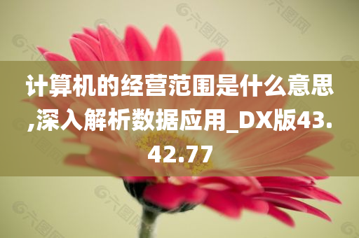 计算机的经营范围是什么意思,深入解析数据应用_DX版43.42.77