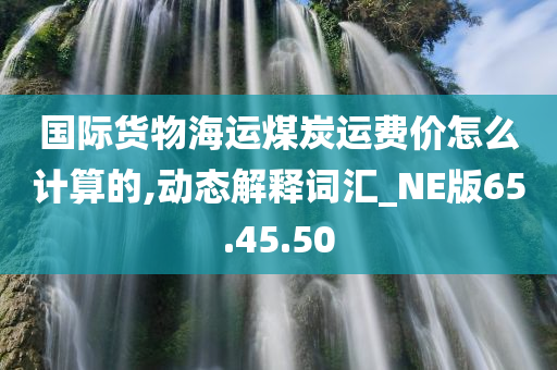 国际货物海运煤炭运费价怎么计算的,动态解释词汇_NE版65.45.50