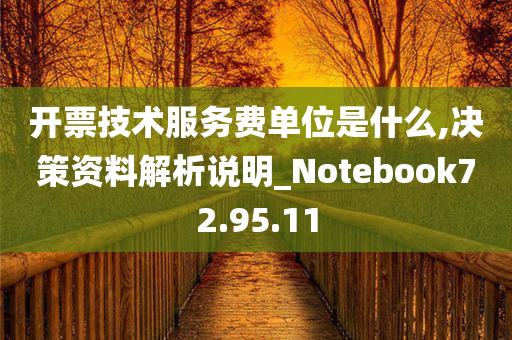 开票技术服务费单位是什么,决策资料解析说明_Notebook72.95.11