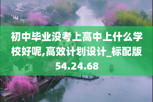 初中毕业没考上高中上什么学校好呢,高效计划设计_标配版54.24.68