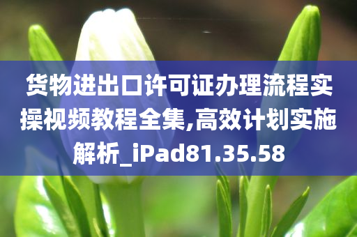 货物进出口许可证办理流程实操视频教程全集,高效计划实施解析_iPad81.35.58