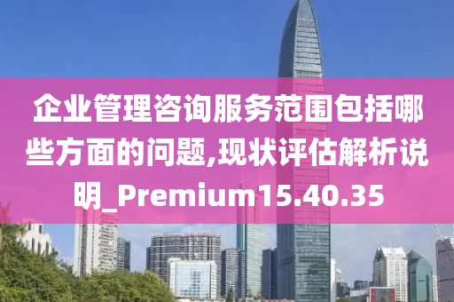 企业管理咨询服务范围包括哪些方面的问题,现状评估解析说明_Premium15.40.35