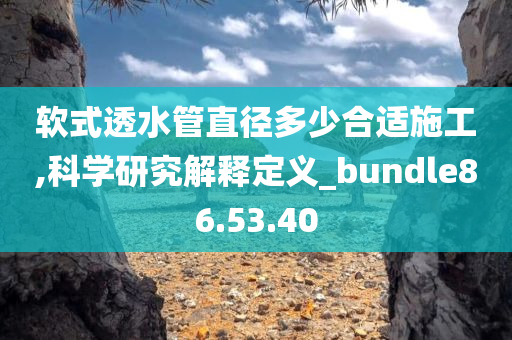 软式透水管直径多少合适施工,科学研究解释定义_bundle86.53.40