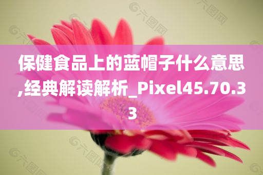 保健食品上的蓝帽子什么意思,经典解读解析_Pixel45.70.33