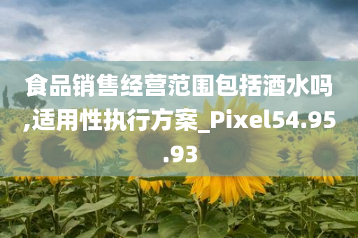 食品销售经营范围包括酒水吗,适用性执行方案_Pixel54.95.93