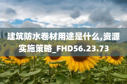 建筑防水卷材用途是什么,资源实施策略_FHD56.23.73