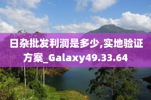 日杂批发利润是多少,实地验证方案_Galaxy49.33.64