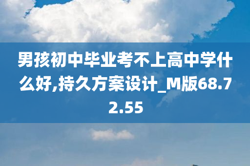 男孩初中毕业考不上高中学什么好,持久方案设计_M版68.72.55