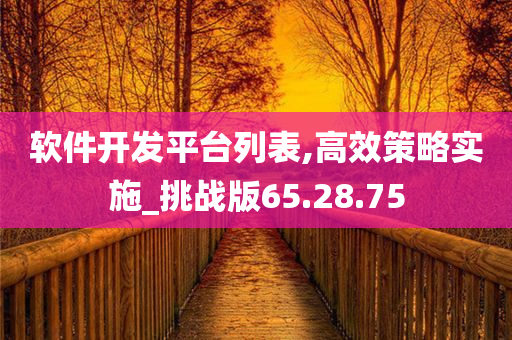 软件开发平台列表,高效策略实施_挑战版65.28.75