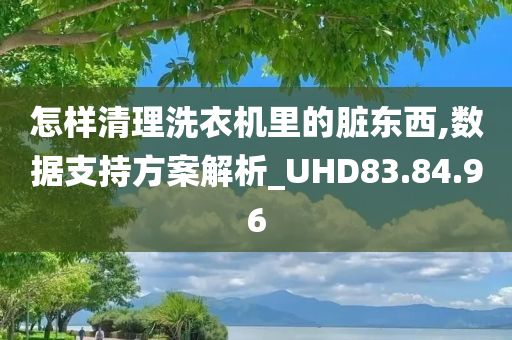 怎样清理洗衣机里的脏东西,数据支持方案解析_UHD83.84.96