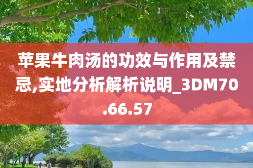 苹果牛肉汤的功效与作用及禁忌,实地分析解析说明_3DM70.66.57