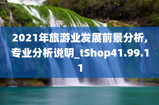 2021年旅游业发展前景分析,专业分析说明_tShop41.99.11