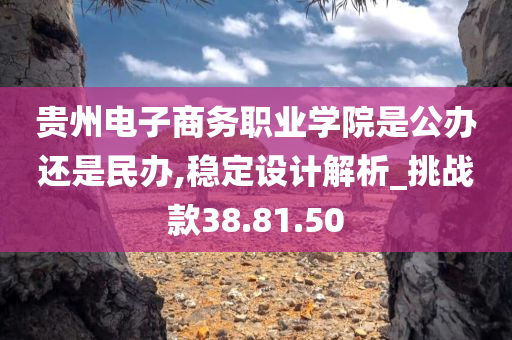 贵州电子商务职业学院是公办还是民办,稳定设计解析_挑战款38.81.50