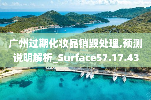 广州过期化妆品销毁处理,预测说明解析_Surface57.17.43