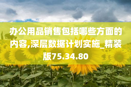 办公用品销售包括哪些方面的内容,深层数据计划实施_精装版75.34.80