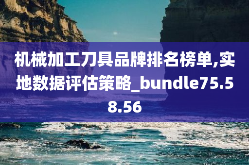 机械加工刀具品牌排名榜单,实地数据评估策略_bundle75.58.56