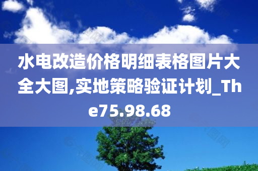 水电改造价格明细表格图片大全大图,实地策略验证计划_The75.98.68