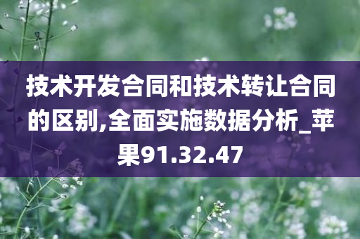 技术开发合同和技术转让合同的区别,全面实施数据分析_苹果91.32.47