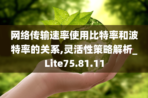 网络传输速率使用比特率和波特率的关系,灵活性策略解析_Lite75.81.11